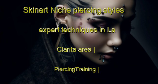 Skinart Niche piercing styles expert techniques in La Clarita area | PiercingTraining | PiercingClasses | SkinartTraining-Argentina